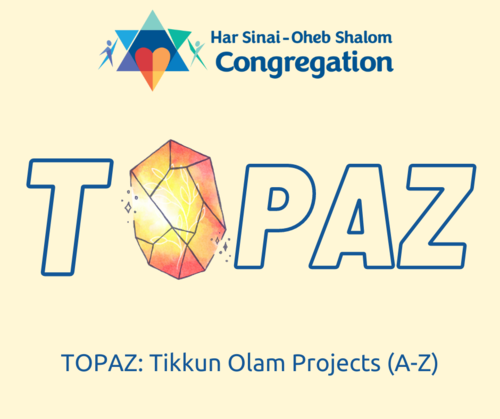 Banner Image for TOPAZ Meeting